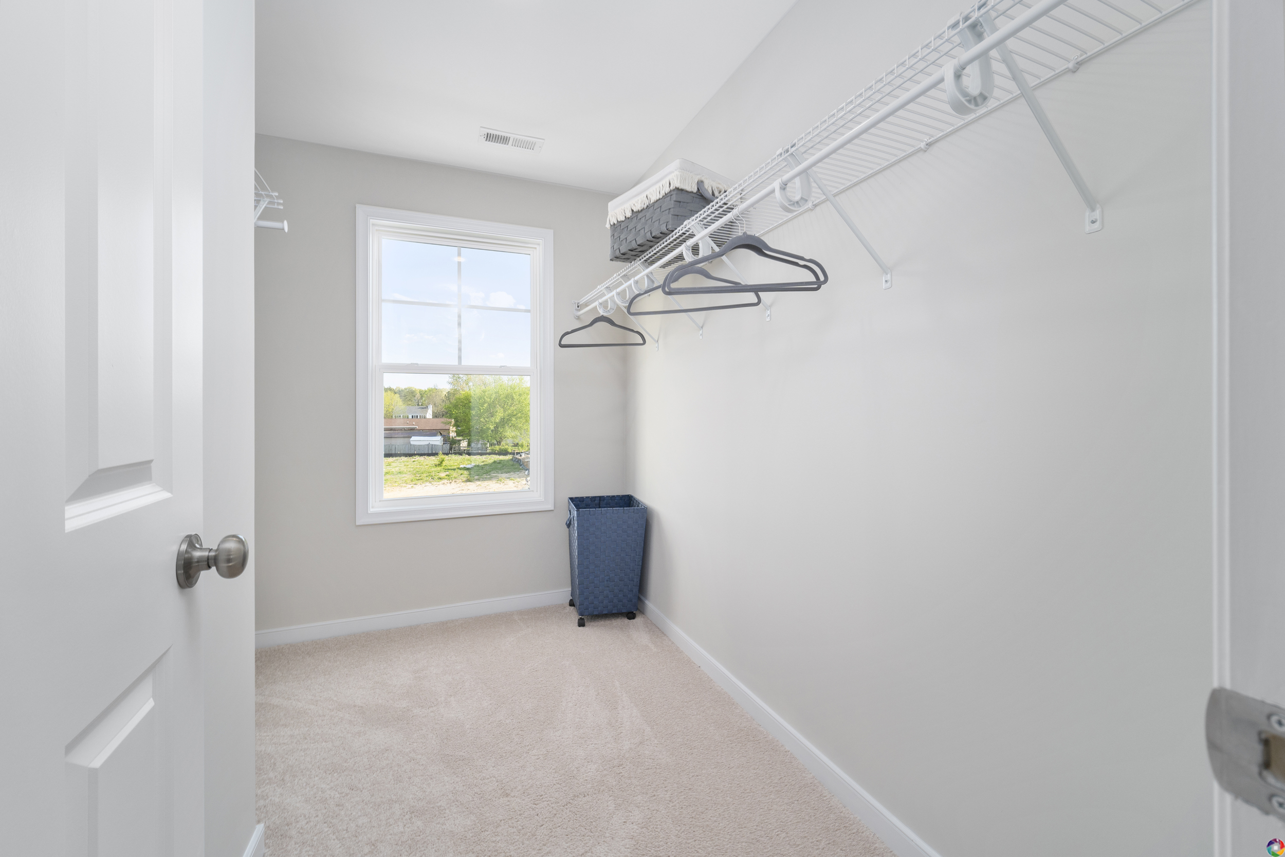 Empty walk-in closet with beige carpeting, white walls, wire shelving, a window, and a blue laundry basket.