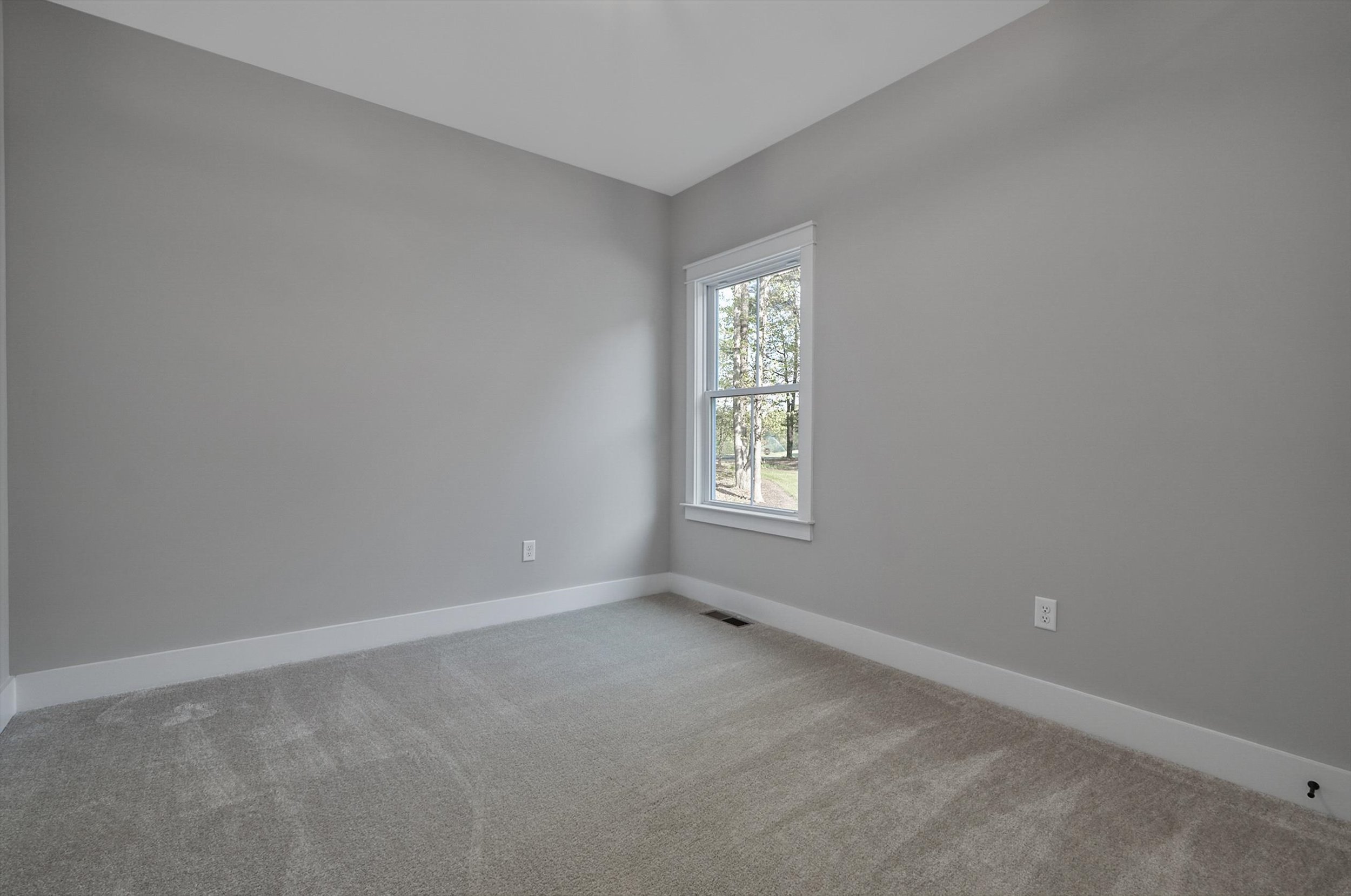 A small empty room with light gray walls, a beige carpeted floor, a single window with a view of trees, and white baseboard trim.